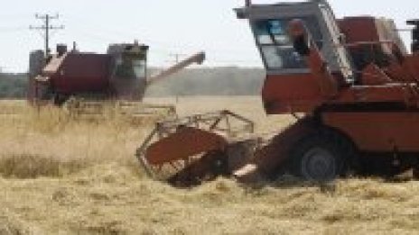 Няма да има зърнена криза