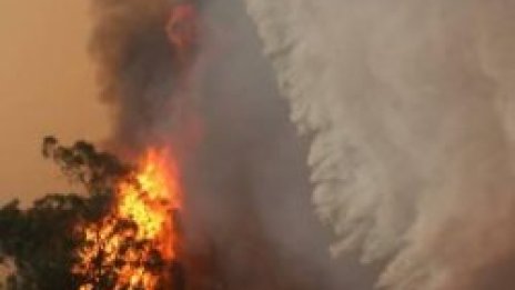 Горски пожар застрашава Лос Анджелис