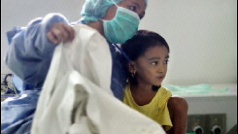 Вече 12 души са заразени с птичи грип в Индонезия