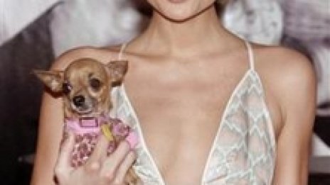 Парис Хилтън ще си прави зоологическа градина