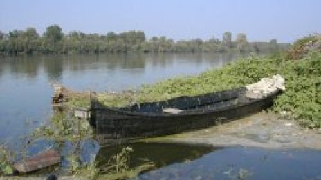 Дунав не е замърсен около мястото на потопения словашки кораб