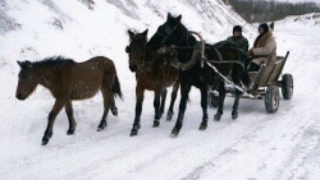 Първа жертва на студа за тази година