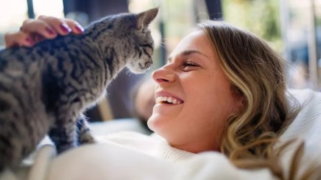 Ключът към лечението на рака може да се крие в котките