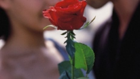 Цветари &bdquo;увехнаха&ldquo; със солидни глоби заради надути цени