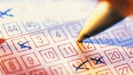 Разбиха родно "черно тото" с оборот над 70 000 лв. седмично