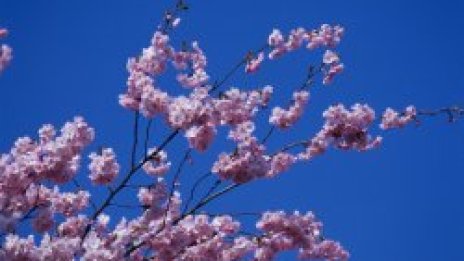 Между минус 3 и 28 градуса през април