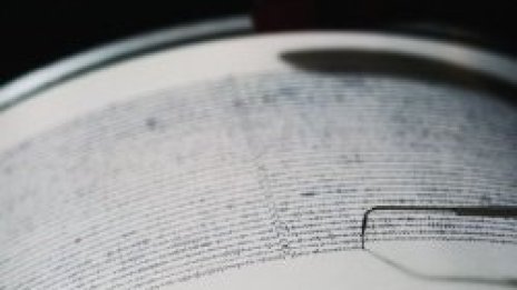 3.7 по Рихтер разлюля София