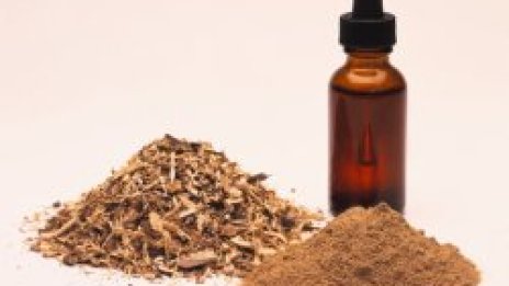 Стартира деветото издание на &bdquo;Алея на здравето&ldquo;