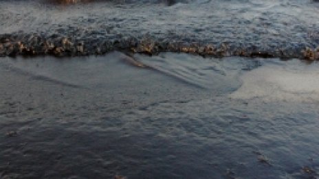 Петролно петно заля плажа в Бургас