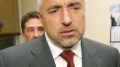 Овчаров хленчел за дъвки и близалки