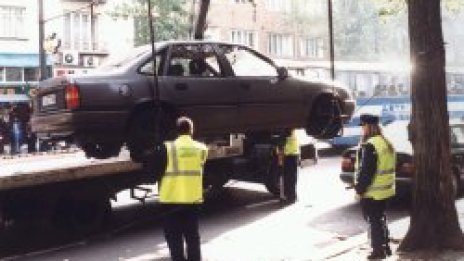 Паяци плъзват из Борисовата градина