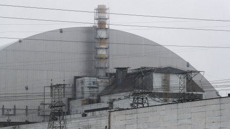 Чернобилската гъба, която сякаш живее от радиация