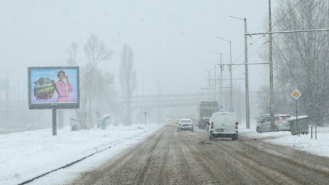 157 снегорина чистят снега в София