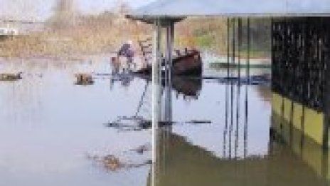 Д. Чакъров: Сърбия да плати на България за замърсяването на Дунав