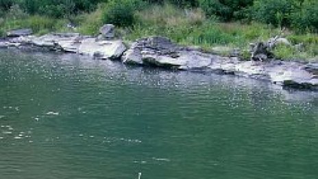 Възрастни видри и монополист чистят Искър