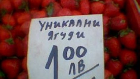 Ягуди. Да, не си кьорав, ягуди. При това уникални.