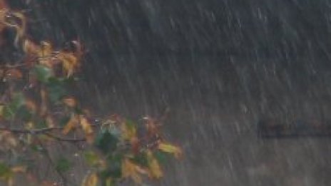 Снежец наръси задръстена София