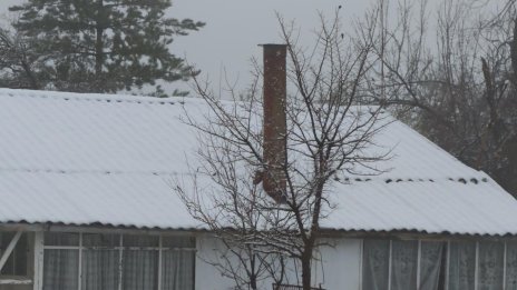 Сняг в Перник и Радомир, студ застрашава овошките СНИМКИ/ВИДЕО
