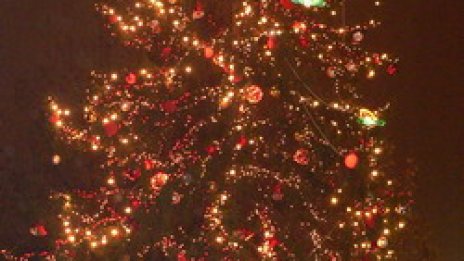 Столицата остава без градски транспорт в коледната нощ