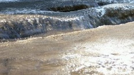 Лед скова части от САЩ, лимоните в Калифорния замръзнаха