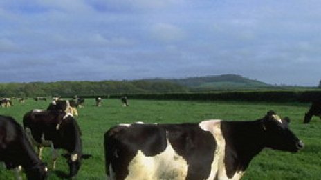 Интернатите у нас &ndash; инкубатор за проститутки