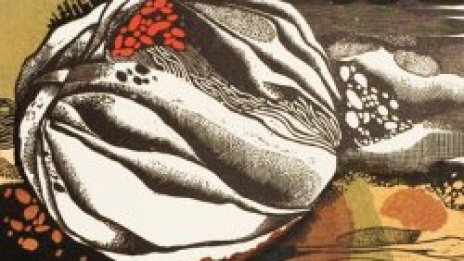 Рисунки и графика за ценители