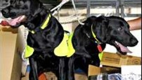 &bdquo;Кръстникът&ldquo; по малайзийски: Очистете Лъки и Фло!