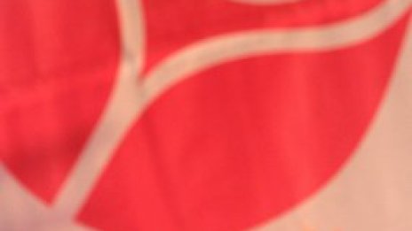 Станишев наблюдавал енергетиката, политиците полудявали