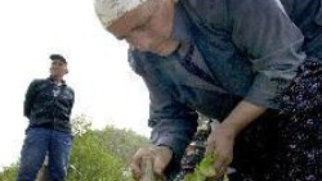 Файненшъл таймс: България е най-ислямската страна в ЕС