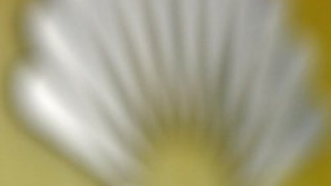 НДСВ залитна към Б.Б.