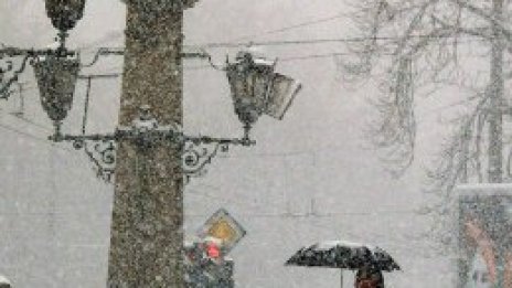 Ха, честит първи сняг!