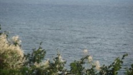 Обезсолената морска вода е вредна