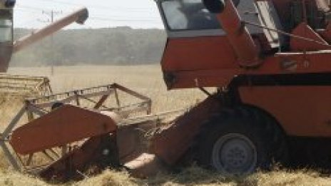 Зърнопроизводители се вдигат на бунт