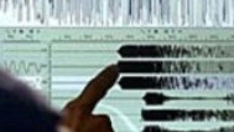 Световната банка изчисли: $2,5 млрд. при земетресение в София