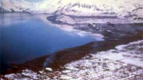 Полярната шапка се топи с рекордна бързина