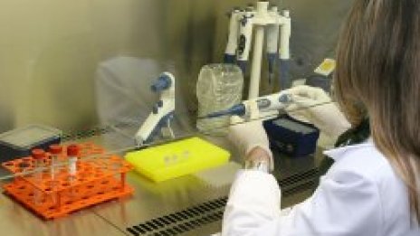 Ще извличат стволова клетка без да унищожават ембриона