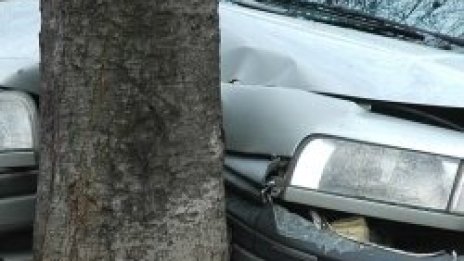 Кола се натресе в дърво
