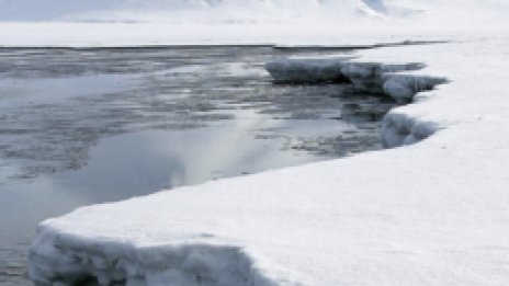 Оставаме без ледници само след няколко десетилетия