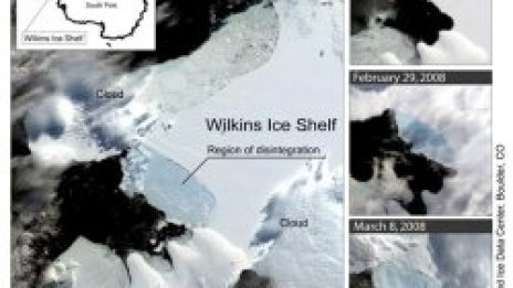 Полярният шелф на Антарктида започна да се срутва