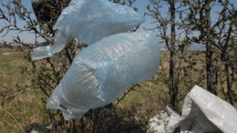 Свежи ГЕРБери удариха рамо на Бойко и пометоха София