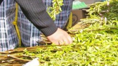 Момите да пускат венчета в реката. Цветница е
