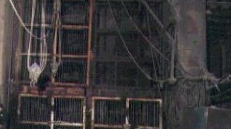Учени превръщат СО2 в природен газ