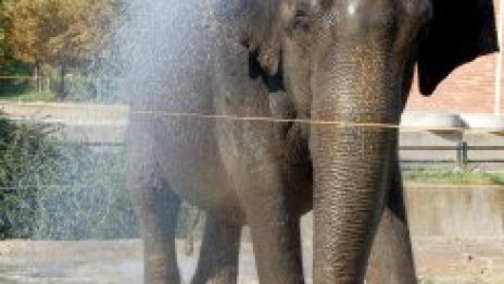 Студен душ за 2,5 млн. българи: остават без топла вода и парно