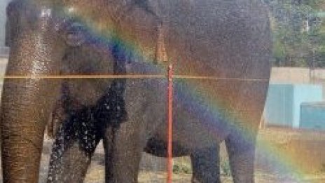 Софийският зоопарк на 120 години