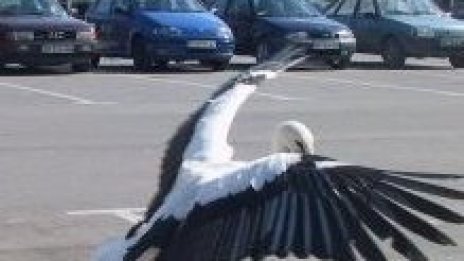 Нови паркинги в София. Кога ли?