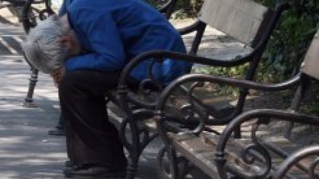 Десни лакардии