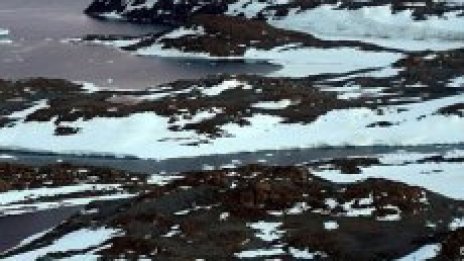 До септември Северният полюс може да остане без лед