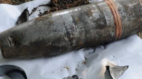 Кабинетът реагирал адекватно, но не на ниво