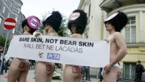 Мечкофили се събличат голи