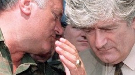 Младич в бункер на Тито, пасе овце